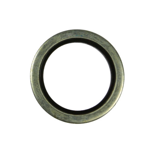 Bonded Washers    (BSPP)