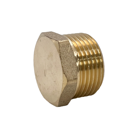 Brass Plug BSP (Hollow)