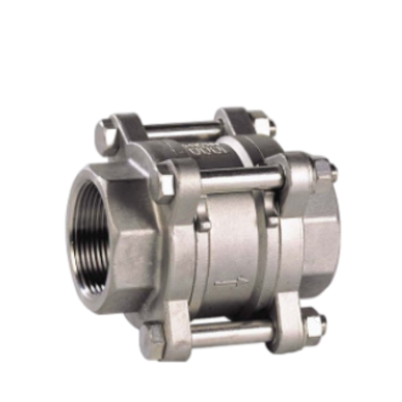 Stainless Steel Spring Check Valve (3 Piece) BSP