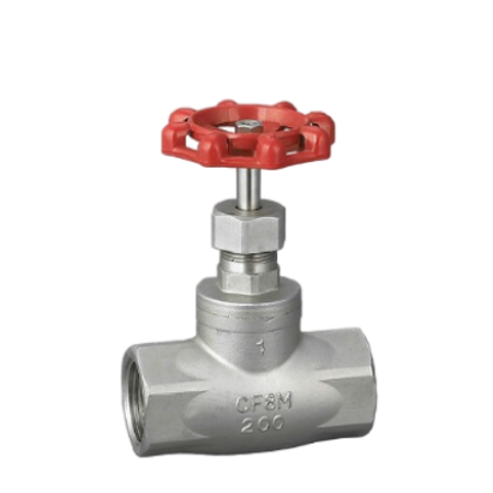 Stainless Steel Globe Valve BSP