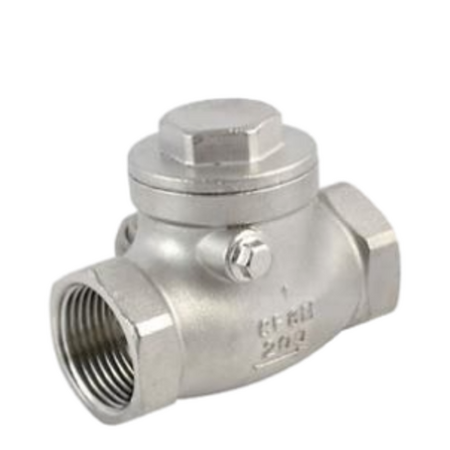 Stainless Steel Swing Check Valve BSP