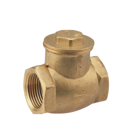 Brass Swing Check Valve BSP