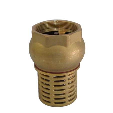 Brass Foot Valve BSP